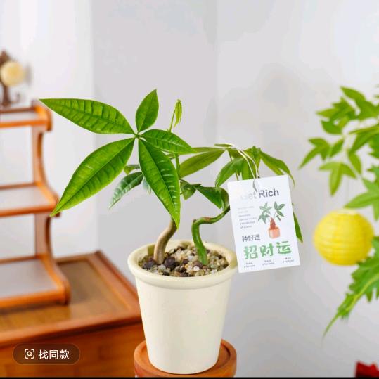江南春色