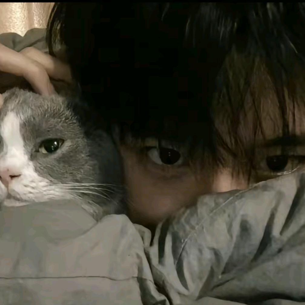 咖啡猫