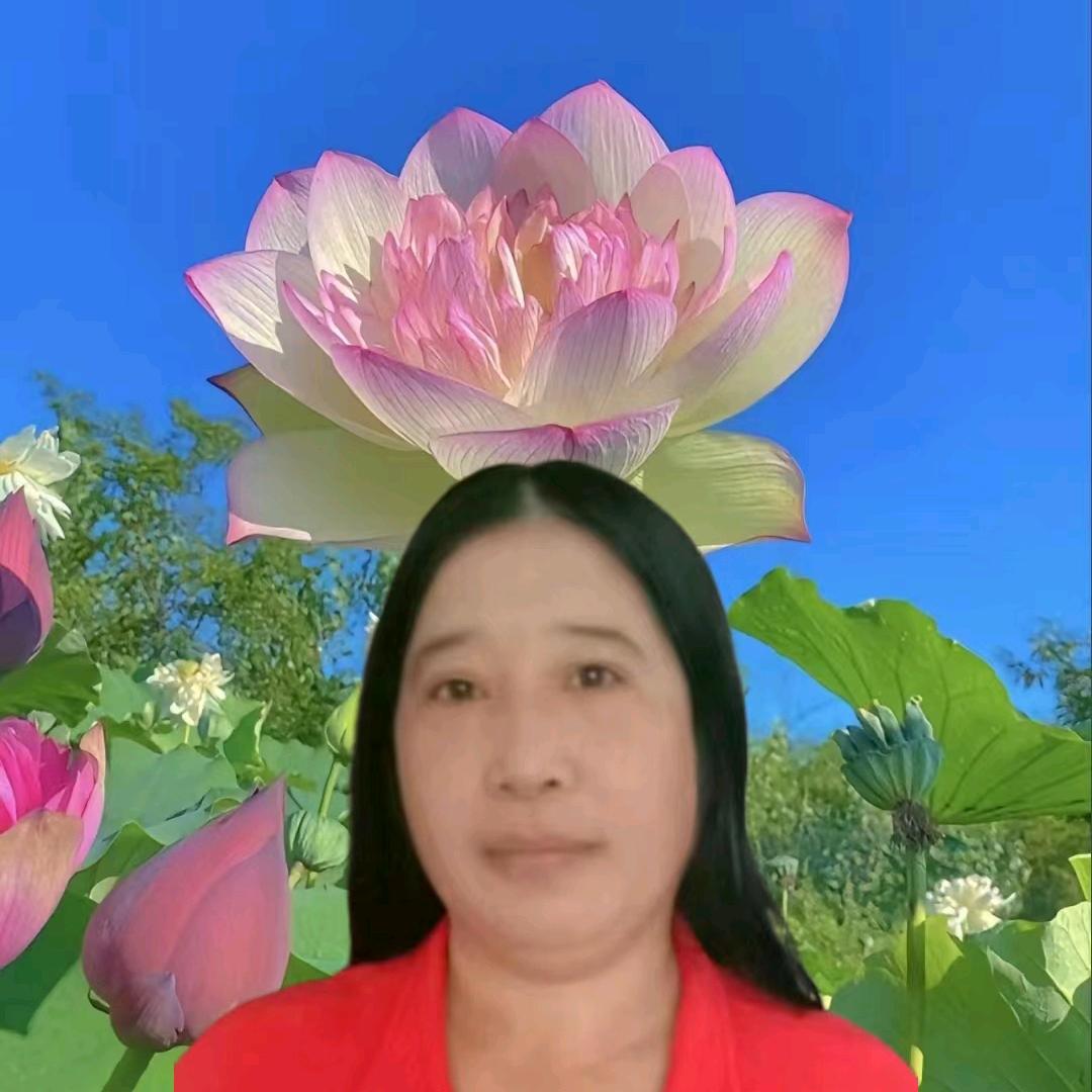 珍珍姐.