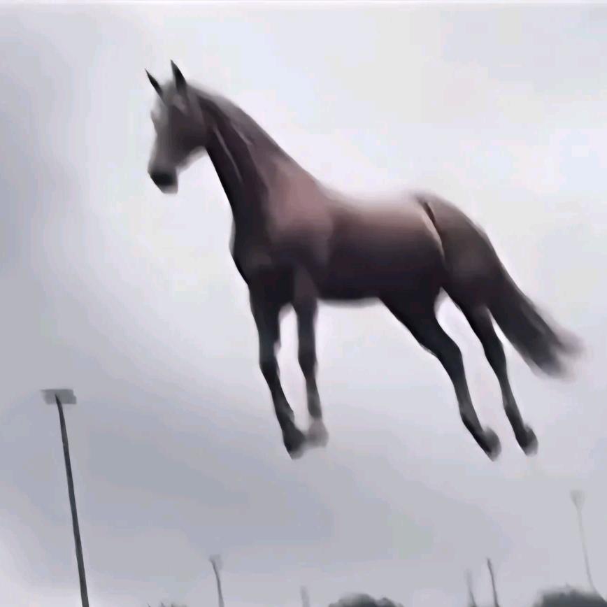 世界上最帅的马