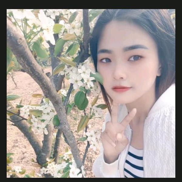 柠檬吖✨