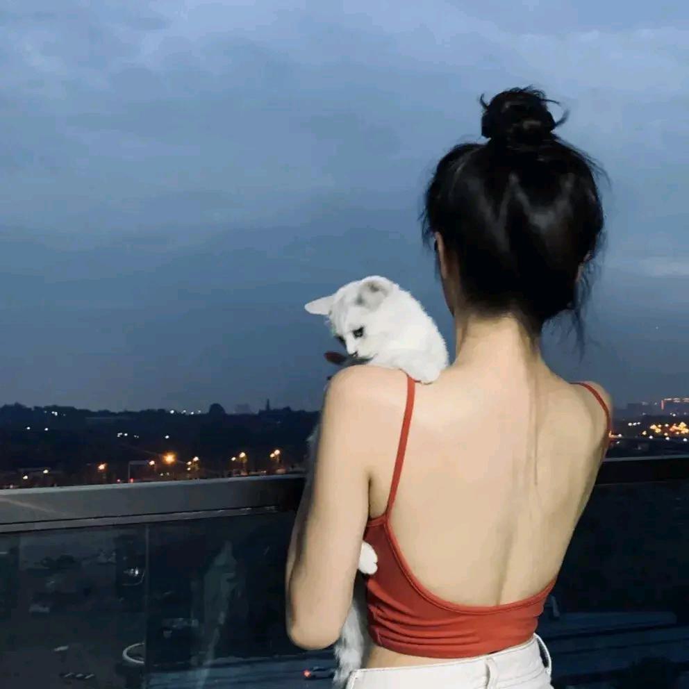 @佳佳