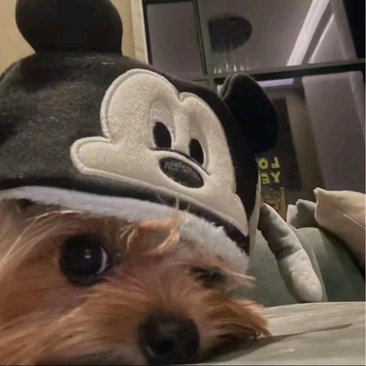 欣欣影视