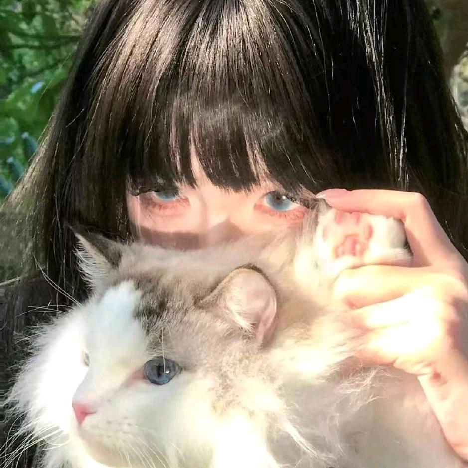 绺宝