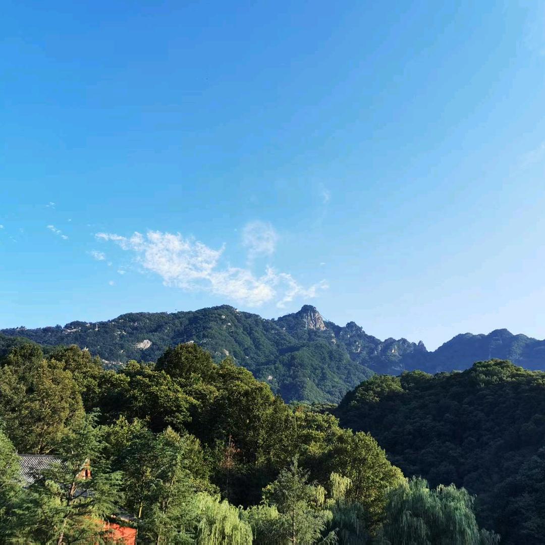 夏日的风