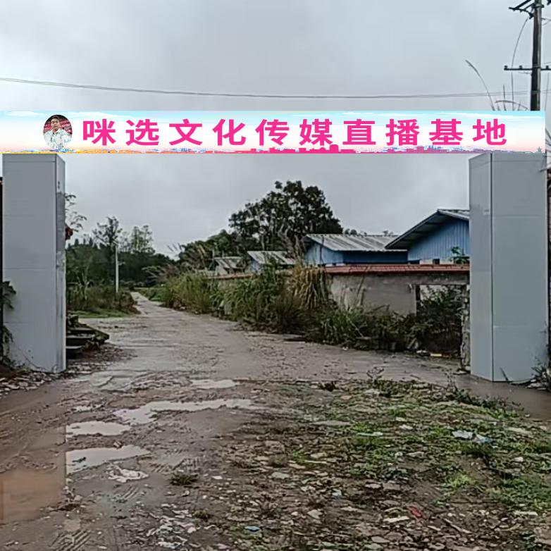 小咪哥2（咪选文化传媒）
