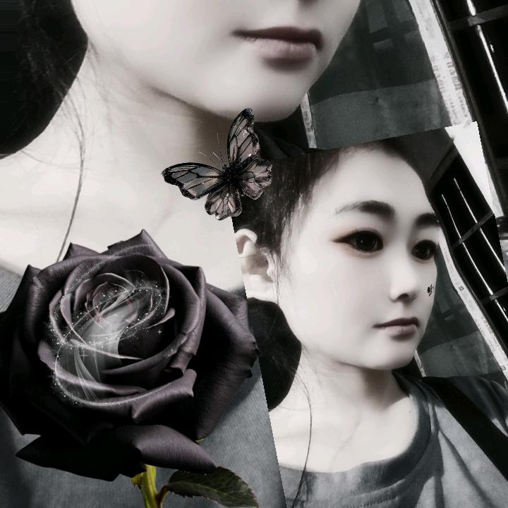 🌹还是❤️不懂我💐
