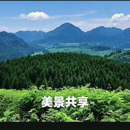 鬼爷
