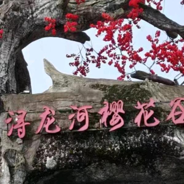 呵萍