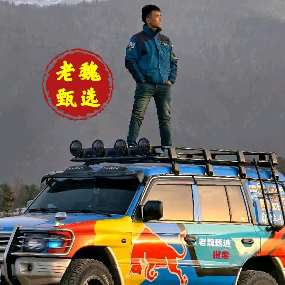 老魏甄选自行车商城
