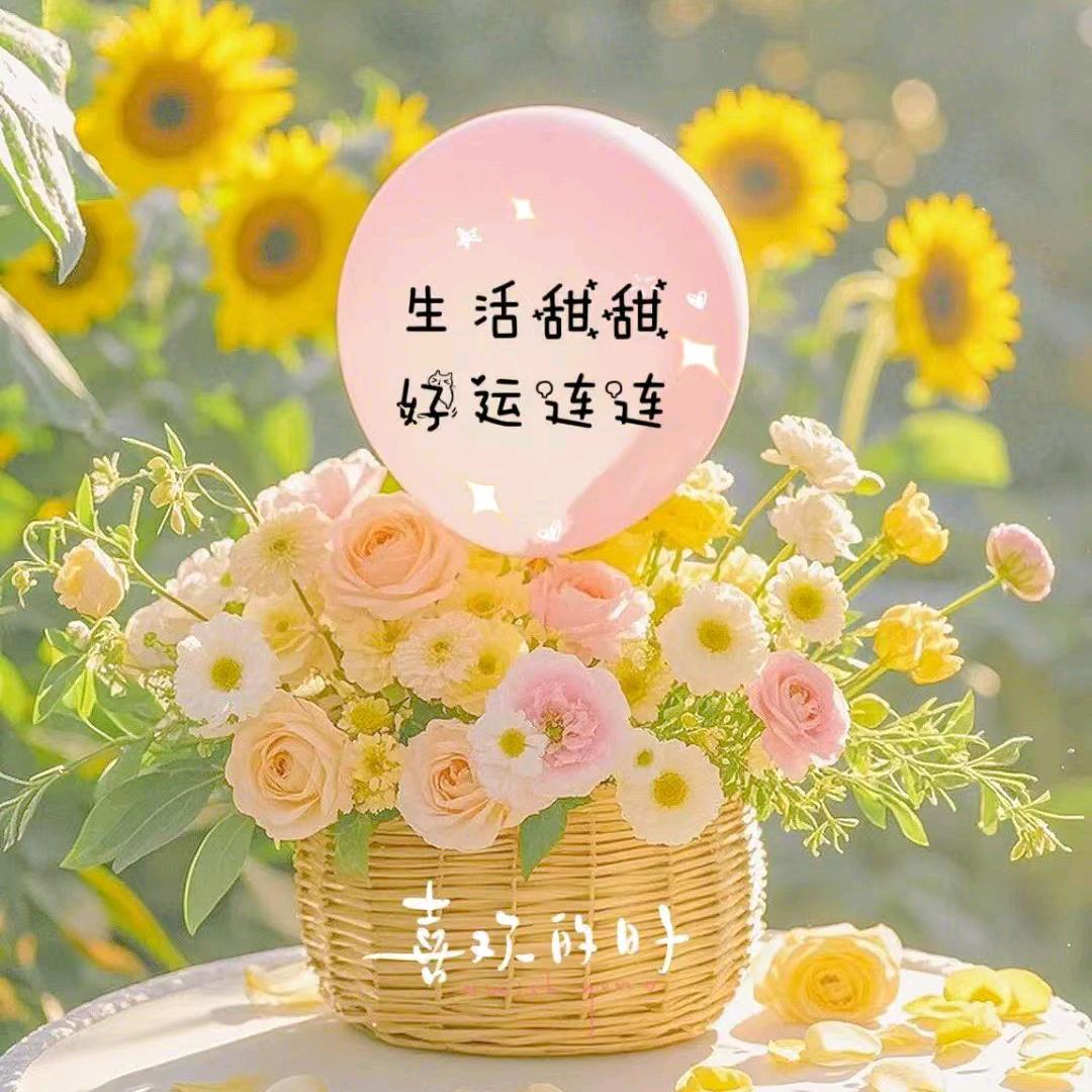 宝贝麦西西