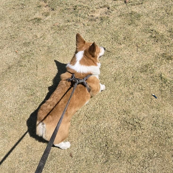 木沐⁷¹⁶