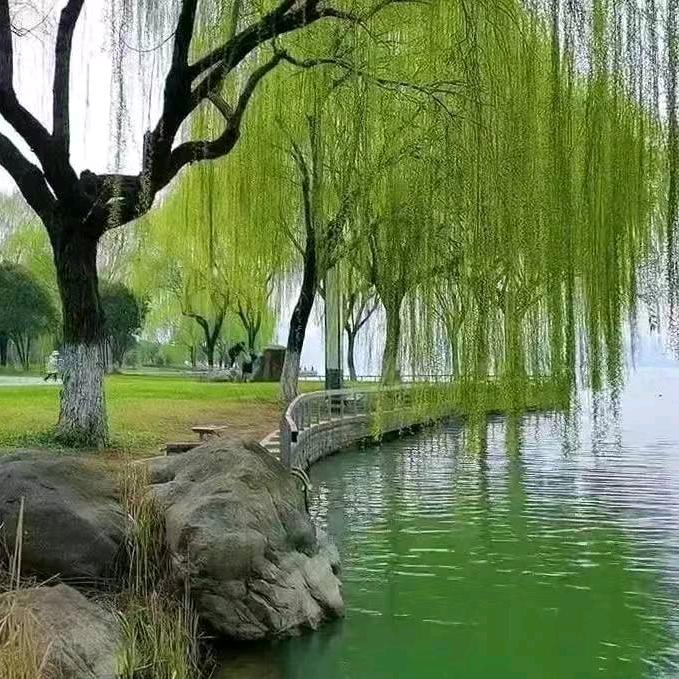 幸福来敲门