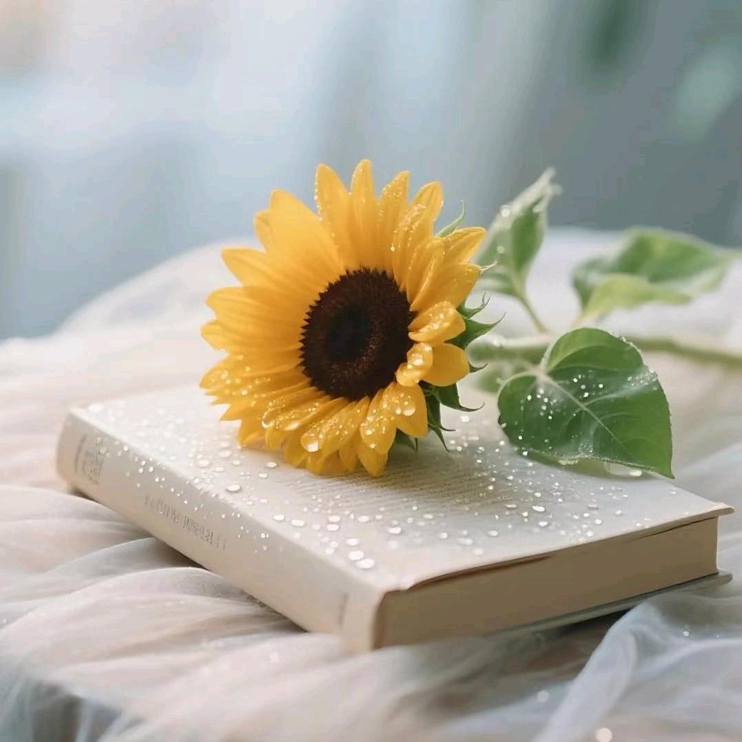 🌻