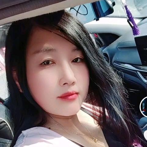 小菊(早上9点晚上7点