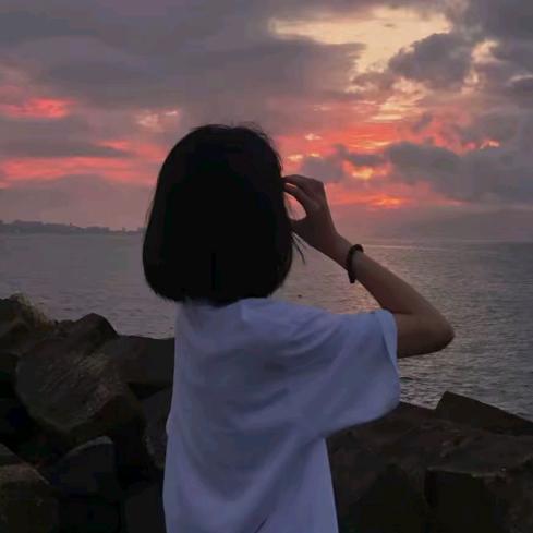 喵了个咪🌸