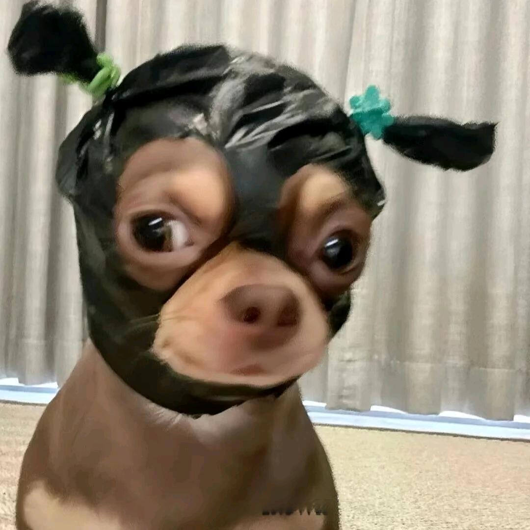 喜羊羊