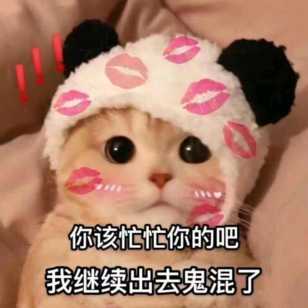 玲珑骰子安红豆