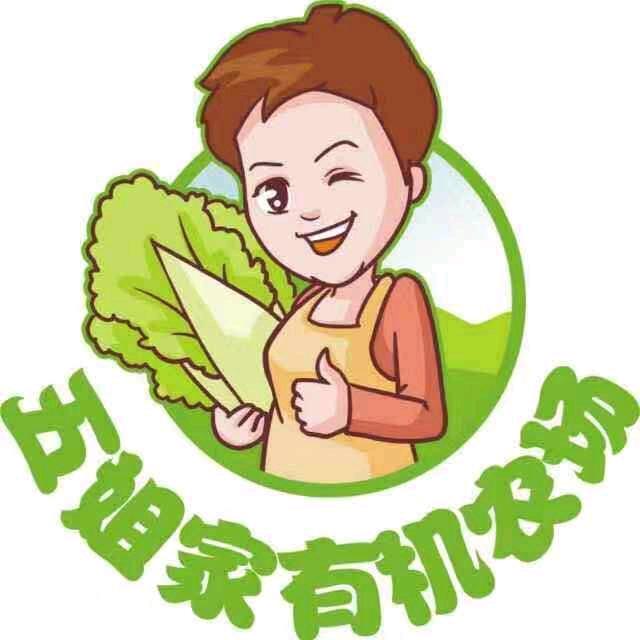 晓菊