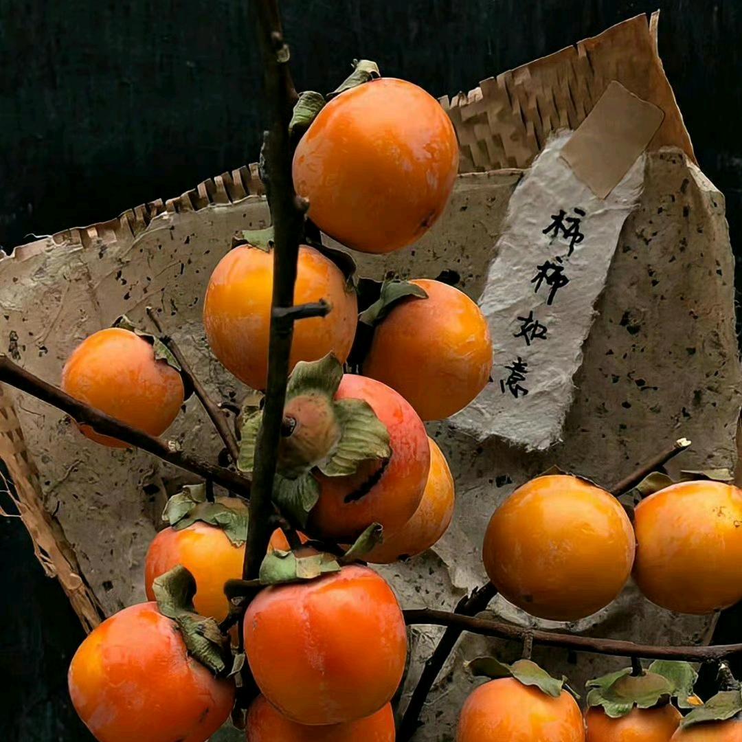 胜利魔术道具