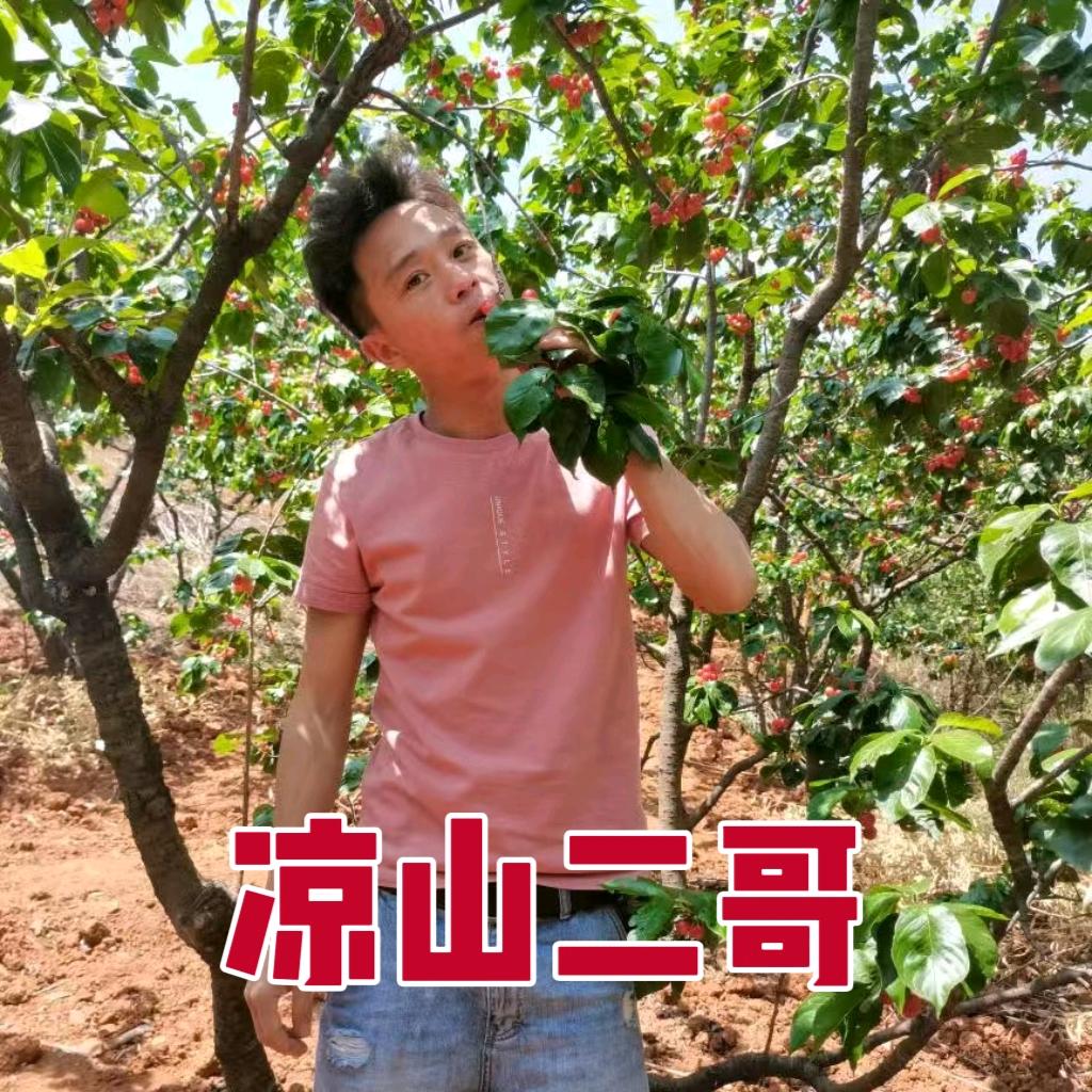 凉山二哥