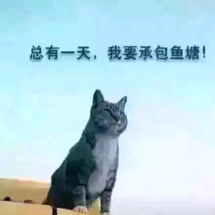 29406090570