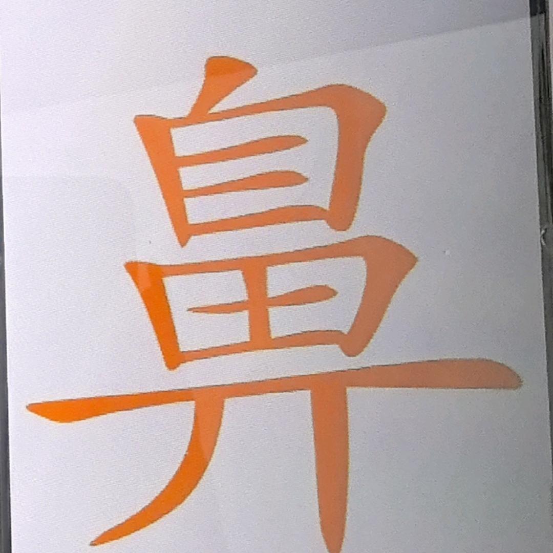 鼻子换季问题