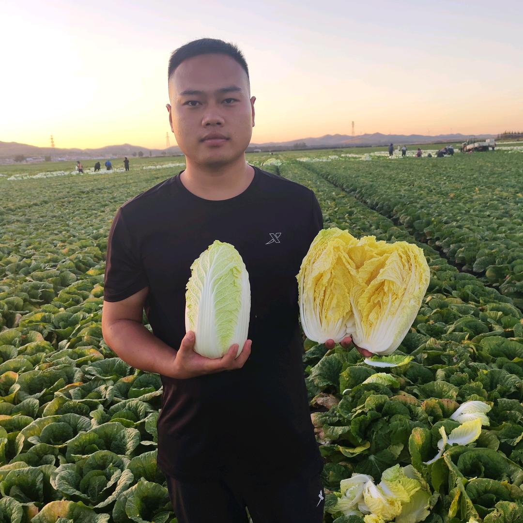 小胖蔬菜农场