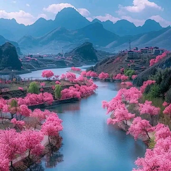 静定慧