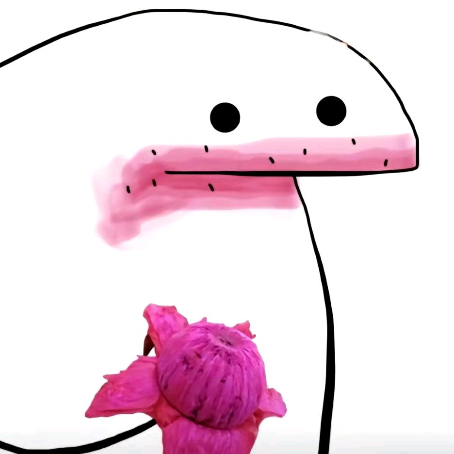 丫嘴兽