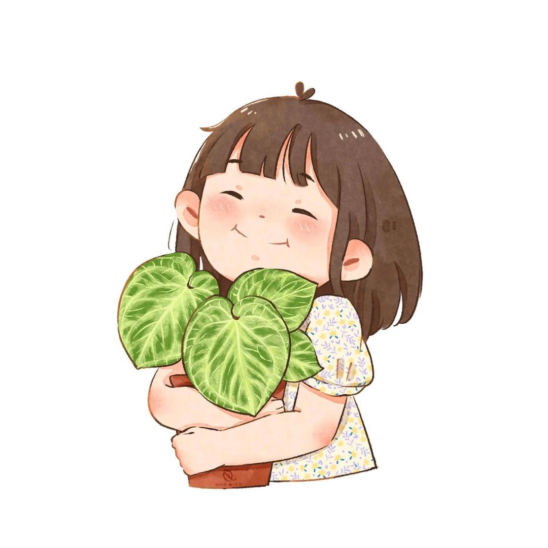 青藤物语