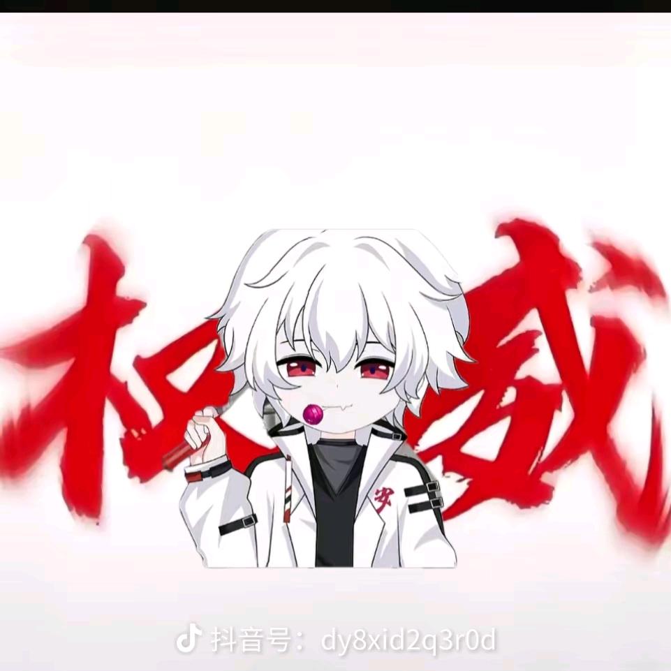 爱玩布鲁克的小赛