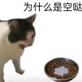 有鱼