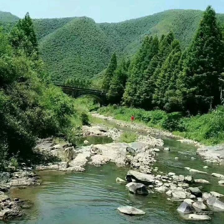 正在输入