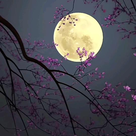 无所谓 无所畏
