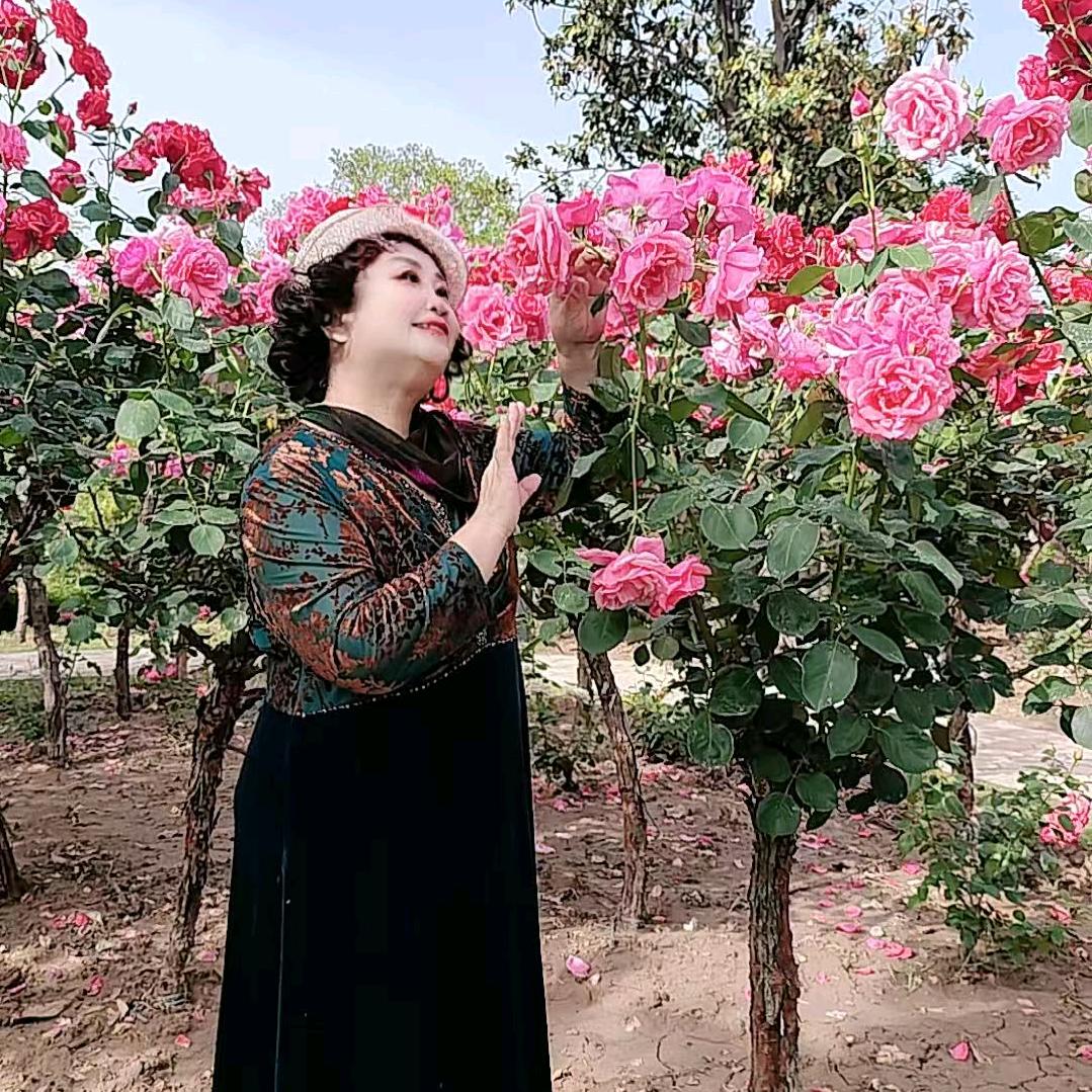 yun衔花