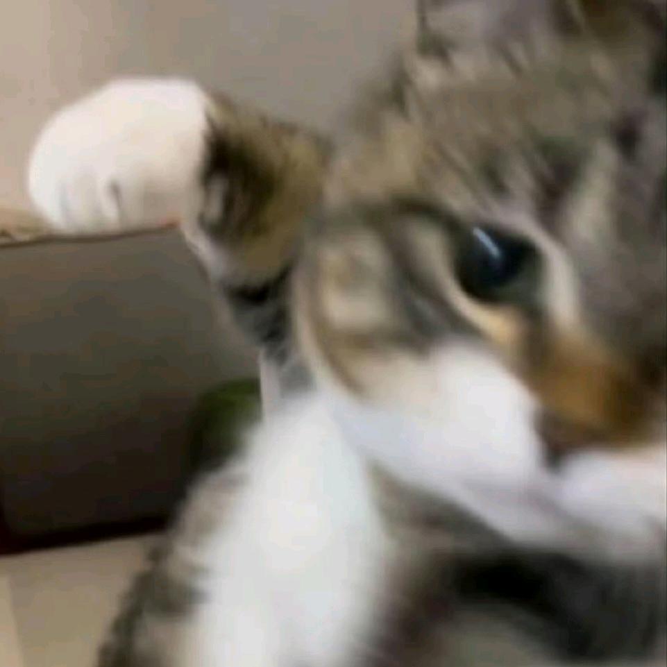 今日不上班log