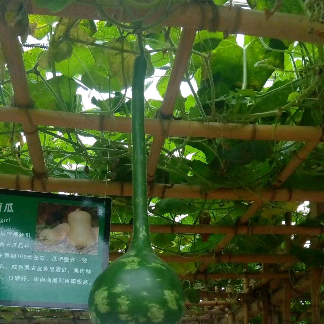 睡觉睡觉睡觉