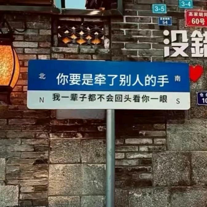 会飞的鱼