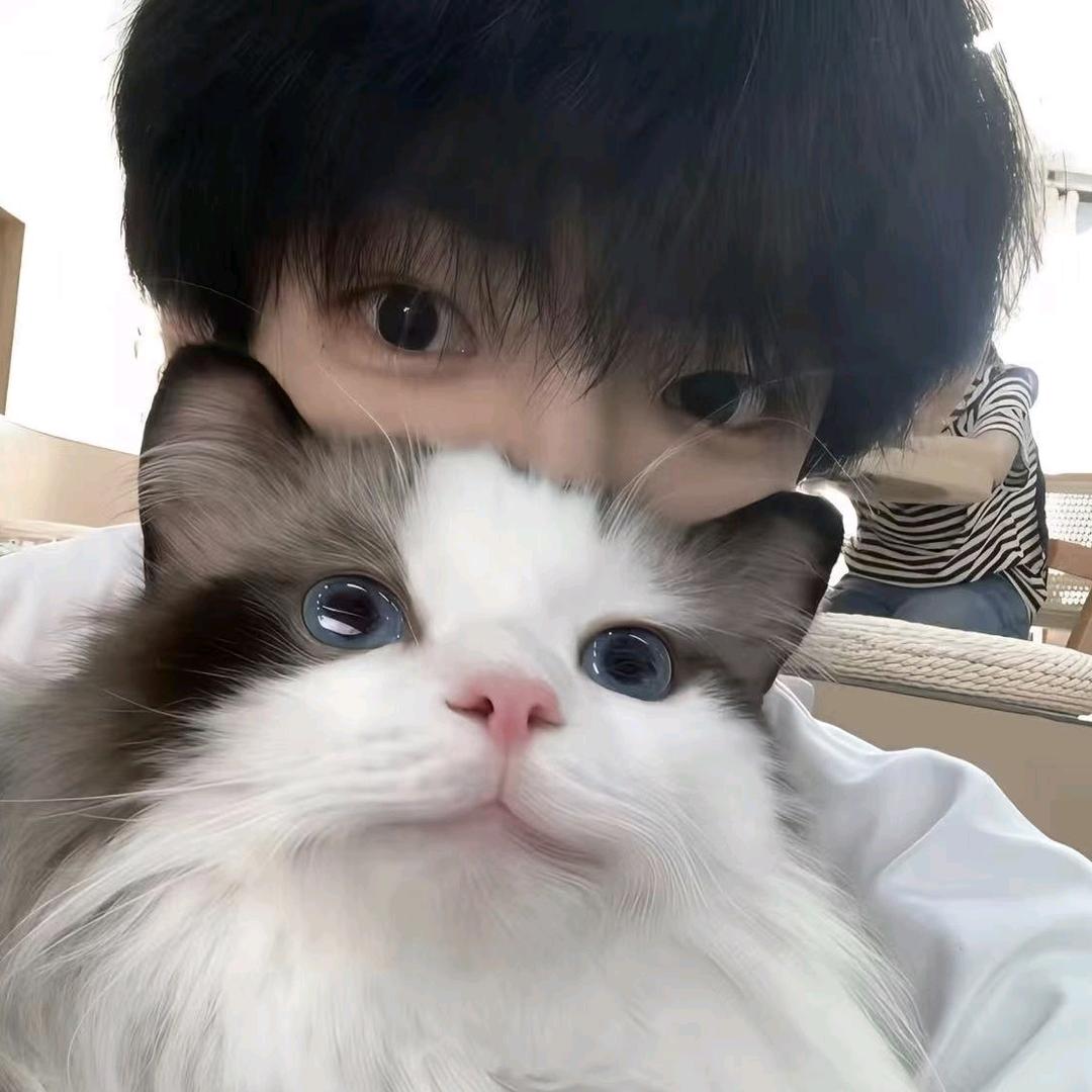 笑刘总