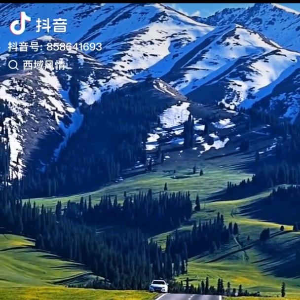 朝宇