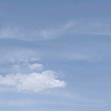 龙腾四海