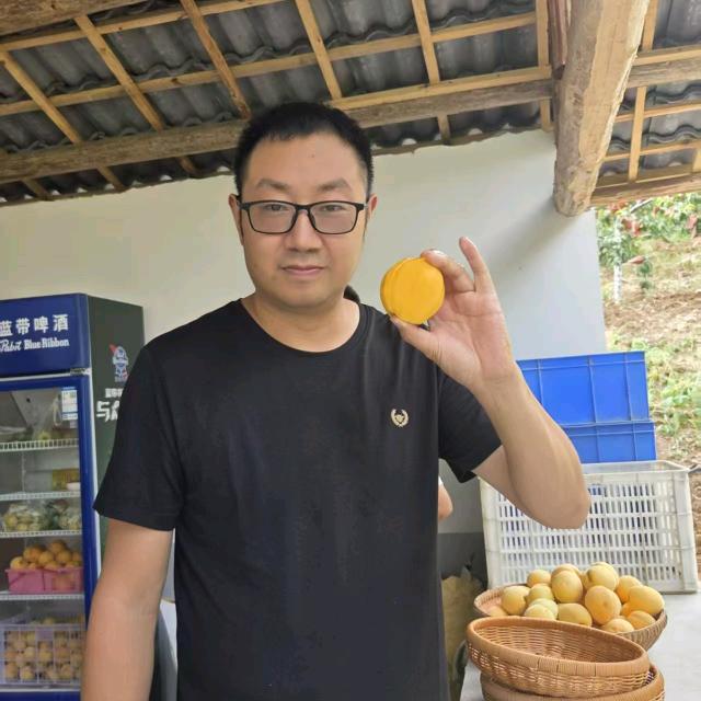 田云昊