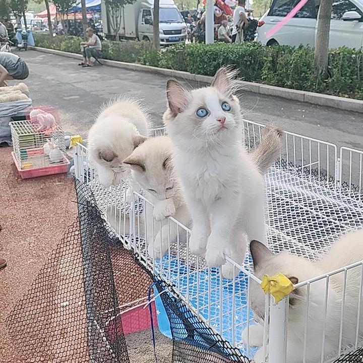 多财.多亿