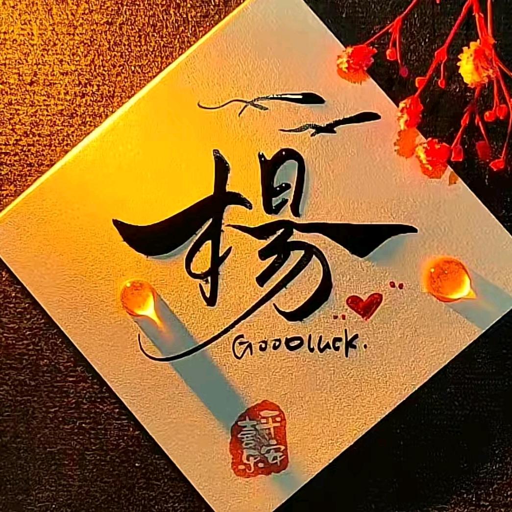 有你的关照！让我飞得更高
