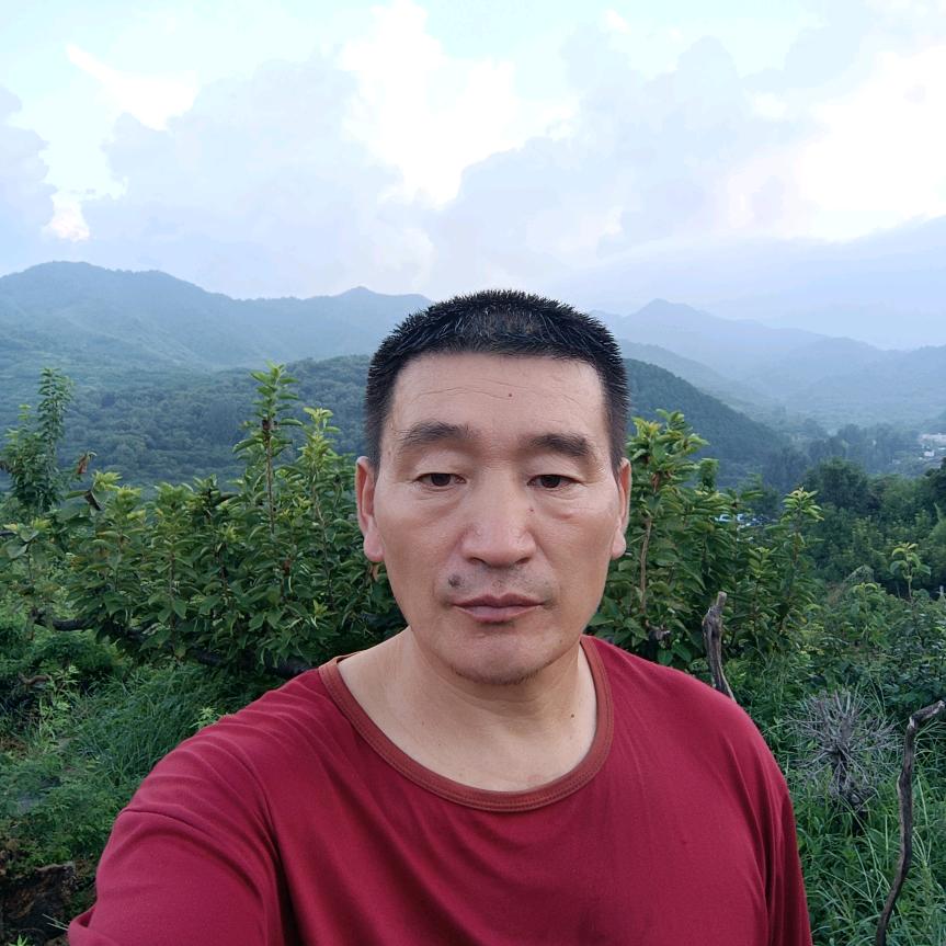 徐四樱桃园