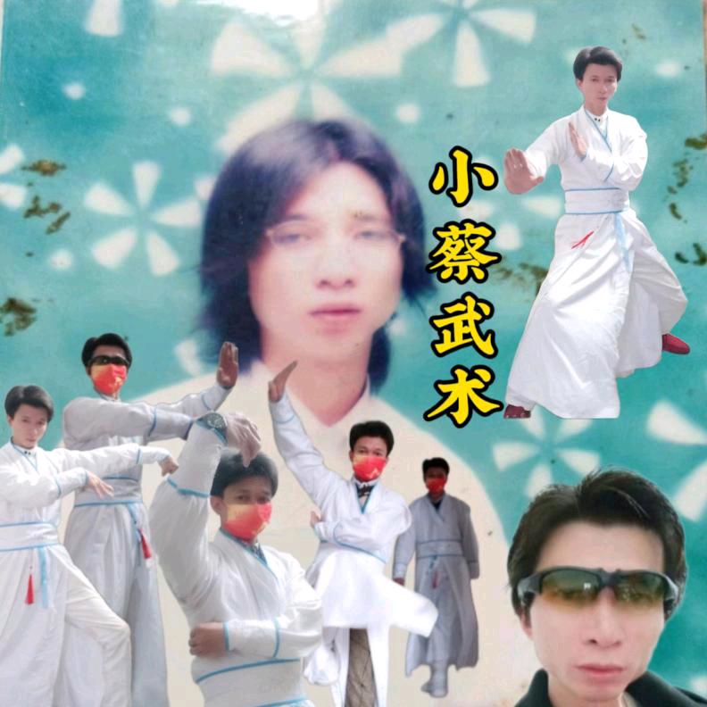 小蔡重出江湖