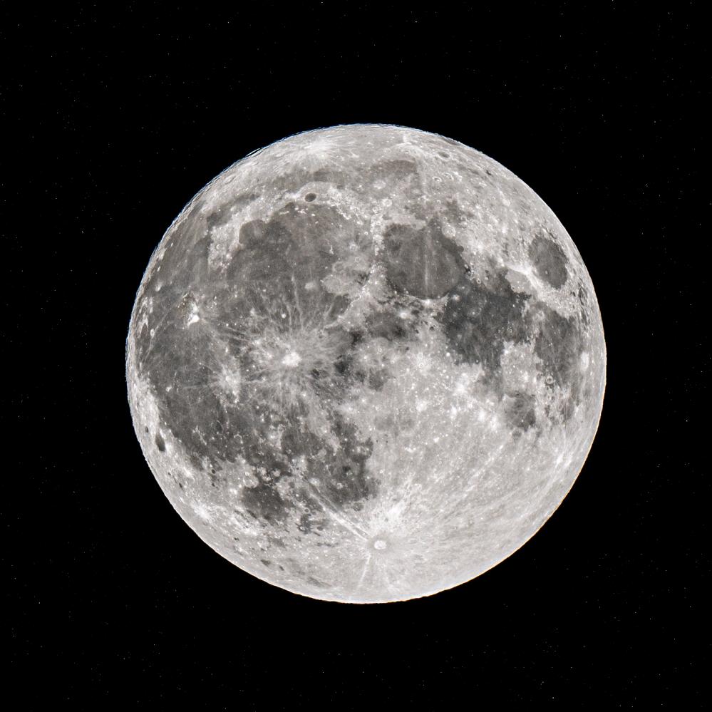 爱拍照的moon