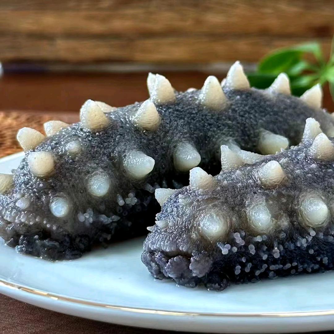 海洋海参大连