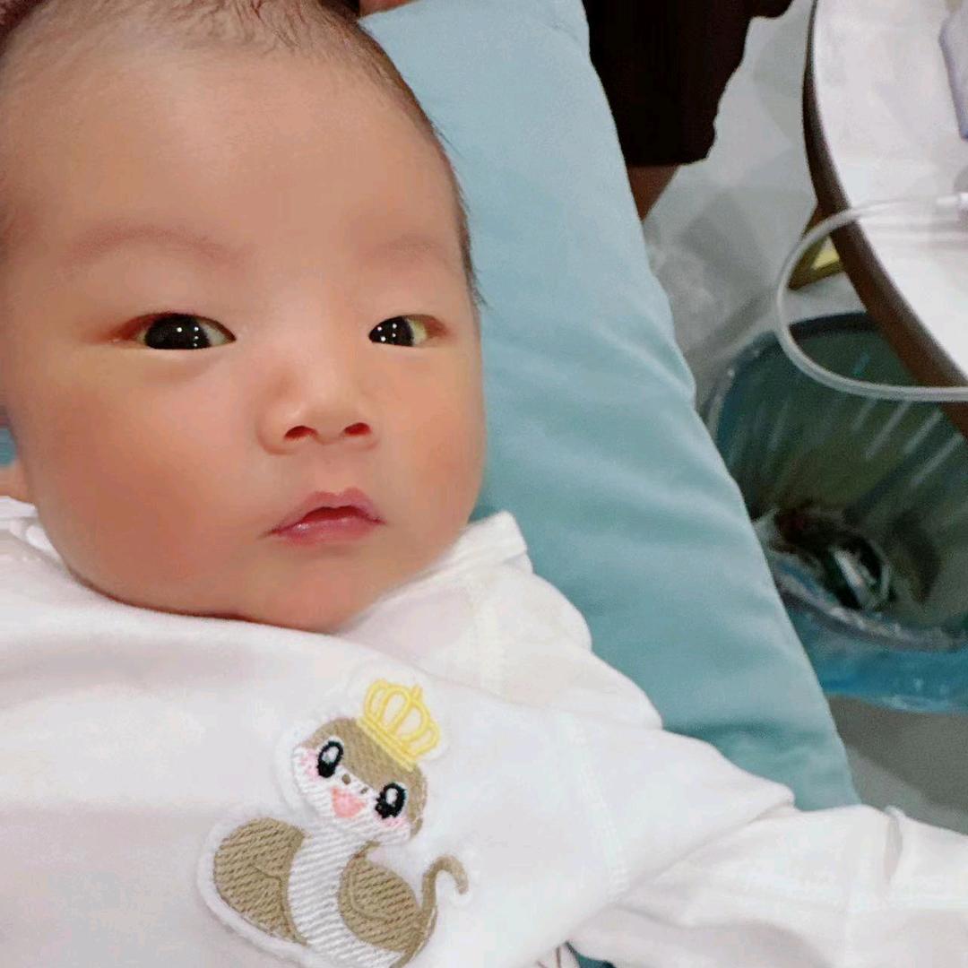 葛红丽